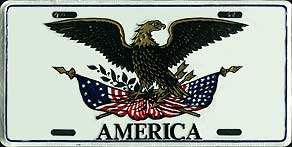America, eagle - World Showcase Flag