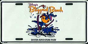 Disney's Blizzard Beach, Water Adventure Park