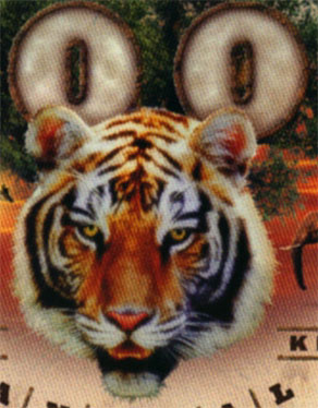 Hidden Mickey formed by the zeros in '2001' and the tiger's head.