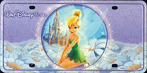 Walt Disney World Tinker Bell and Castle
