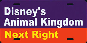 Disney's Animal Kingdom Next Right.