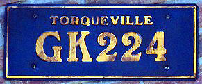 Cars Land License Plate