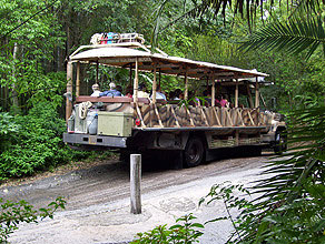 Kilimanjaro Safaris Attraction Vehicle