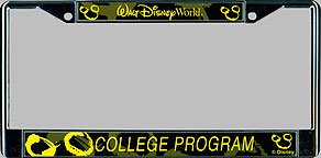 Walt Disney World College Program