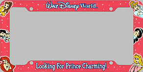 Walt Disney World Looking For Prince Charming!