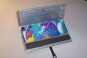 Epcot 2000 Photo Album