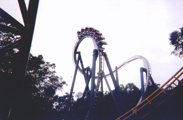 giest cobra roll