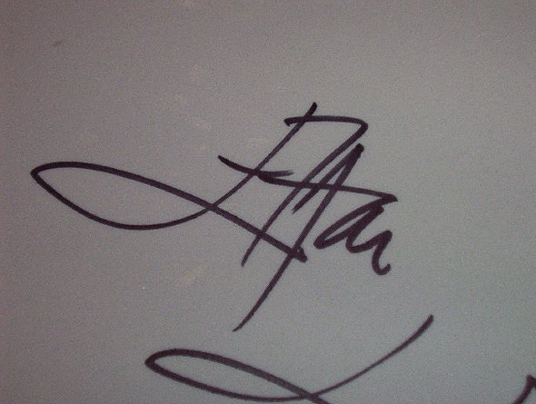 Elton signature detail