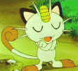 Image-Meowth is complaining