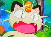 Image-Meowth is worried