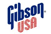 Gibson Custom, Art & Historic Division