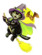 cat flying on broom