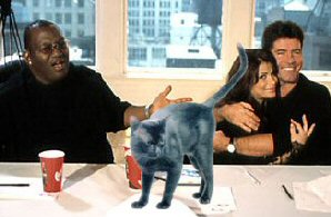 black cat with American Idol judges