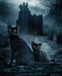 two cats by castle