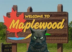 cat by welcome to Maplewood sign