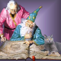 cat with wizard