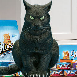 black cat with 9 Lives products