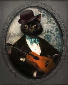 cat with guitar