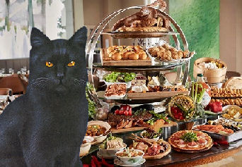 cat in front of buffet