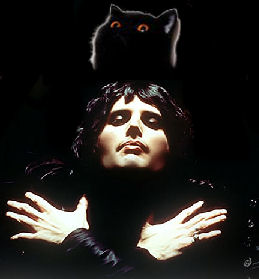 cat above Freddie Mercury