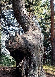 tree trunk shaped like a cat
