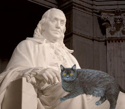 cat on statue of Ben Franklin