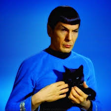 cat with Mr. Spock