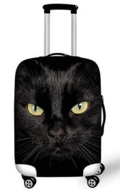 cat suitcase