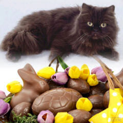 cat with Easter basket