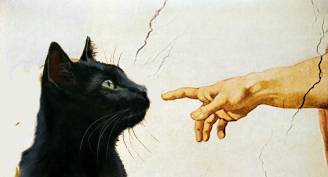 God's finger pointing toward cat