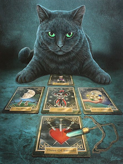 cat with tarot cards