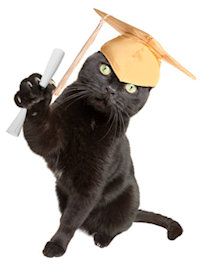 cat in cap and gown