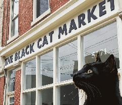 cat market