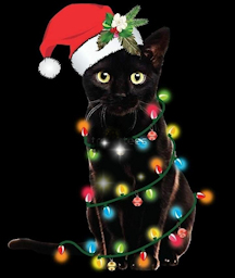 cat covered with Christmas lights