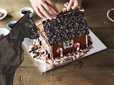 cat with gingerbread house