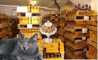 cat in storage unit filled with chocolate