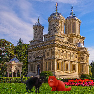 two cats in front of cathedral