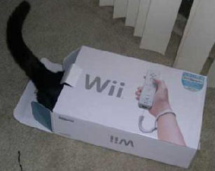 cat in Wii box