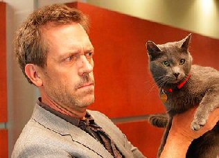 Hugh Laurie with black cat