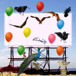 billboard with balloons and birds