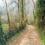 deserted road