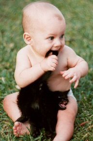 baby biting cat's tail