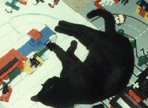 cat surrounded by LEGOs