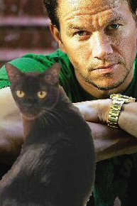 cat and Mark Wahlberg