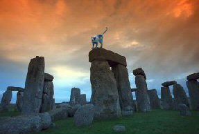 cat by Stonehenge