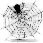 spider