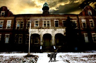 black cat in front of Pennhurst