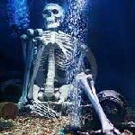 skeleton under water