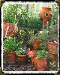 terra cotta pots