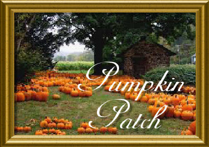 pumpkin patch